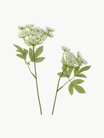 Kunstblume Fenchel, Kunststoff, Metall, Grün, Weiss, L 66 cm