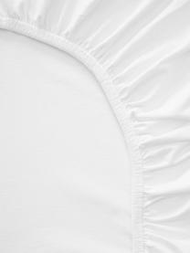 Sábana bajera de jersey con elastano Lara, 95% algodón, 5% elastano
Densidad de hilo 160 TC, calidad estándar

El algodón da una sensación agradable y suave en la piel, absorbe bien la humedad y es adecuado para personas alérgicas., Blanco, Cama 200 cm (200 x 200 x 15 cm)