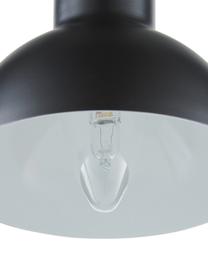 Lámpara de escritorio Bobi, estilo industrial, Pantalla: metal con pintura en polv, Cable: plástico, Negro, Ø 13 x Al 42 cm