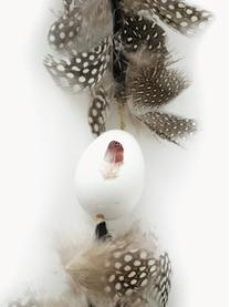 Guirnalda de plumas Fedula, 110 cm, Plumas, plástico, Tonos marrones, L 110 cm