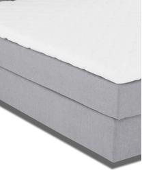 Letto boxspring premium Pheobe, Materasso: a molle insacchettate a 7, Piedini: legno di faggio massiccio, Grigio, 200 x 200