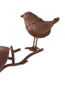 Set de baño para pájaros Loki, 2 uds., Metal recubierto, Marrón, An 28 x Al 117 cm