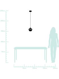 Kleine hanglamp Perpigo, Lampenkap: gelakt metaal, Baldakijn: gelakt metaal, Zwart, Ø 17 cm