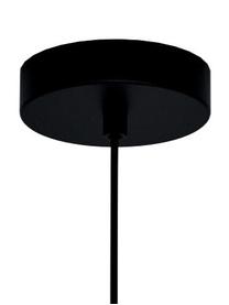 Lampada a sospensione piccola Perpigo, Paralume: metallo verniciato, Nero, Ø 17 x Alt. 110 cm