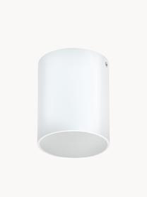 Faretto da soffitto a LED Marty, Baldacchino: metallo verniciato a polv, Bianco, Ø 10 x Alt. 12 cm