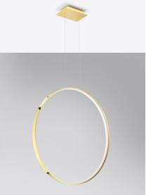 Grande suspension LED artisanale Tim, Doré, haute brillance, larg. 78 x haut. 78 cm