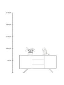 Lampada da tavolo di design Monkey, Lampada: resina sintetica, Bianco, Larg. 34 x Alt. 32 cm