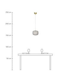 Kleine hanglamp Sober met glazen lampenkap, Lampenkap: glas, Baldakijn: geborsteld metaal, Decoratie: geborsteld metaal, Grijs, Ø 25 x H 22 cm