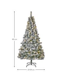 Künstlicher LED-Weihnachtsbaum Millington, in verschiedenen Größen, Grün, beschneit, Ø 86 x H 155 cm