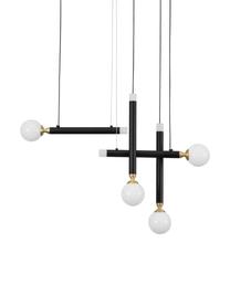 Design LED hanglamp Cayo met glazen lampenkappen, Decoratie: gecoat aluminium, Baldakijn: gecoat aluminium, Zwart, goudkleurig, wit, B 51 x H 39 cm