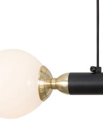 Suspension LED design Cayo, Noir, couleur dorée, blanc, larg. 51 x haut. 39 cm