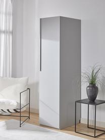 Armario modular Leon, 1 puerta (50 cm), diferentes variantes, Estructura: tablero aglomerado revest, Gris claro, Interior Basic (An 50 x Al 200 cm)