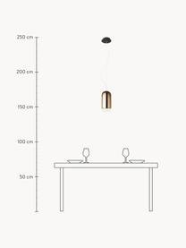 Kleine Pendelleuchte Gople, mundgeblasen, Lampenschirm: Glas, mundgeblasen, Baldachin: Aluminium, beschichtet, Braun, Silberfarben, Ø 15 x H 29 cm