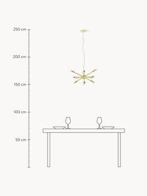 Hanglamp Spike, Lampenkap: vermessingd metaal, Goudkleurig, Ø 50 cm