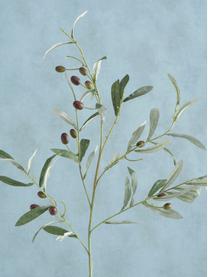 Ručne vyrobená umelá olivová vetvička Olives Garden, Plast, Odtiene zelenej, D 77 cm