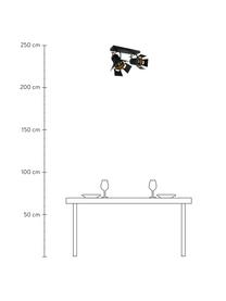 Plafondspot Carre in industrieel design, Baldakijn: gelakt metaal, Zwart, 58 x 37 cm