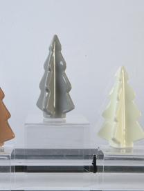 Porseleinen kerstfiguren Dash in de vorm van een dennenboom, set van 3, Porselein, Grijs, bruin, crèmewit, B 5 x H 12 cm