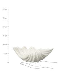 Coupelle en dolomie blanche Shell, larg. 24 cm, Dolomie, Blanc, larg. 23 x haut. 8 cm