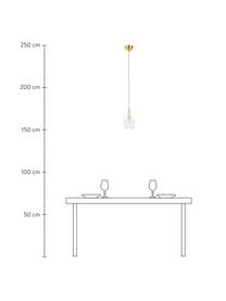 Kleine Pendelleuchte Brussels aus Glas, Lampenschirm: Glas, Dekor: Metall, beschichtet, Baldachin: Metall, beschichtet, Transparent, Goldfarben, Ø 13 x H 30 cm