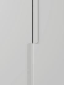 Modulaire draaideurkast Leon, 100 cm breed, diverse varianten, Frame: met melamine beklede spaa, Lichtgrijs, Basis interieur, B 100 x H 200 cm