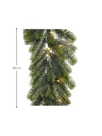 Ghirlanda natalizia a LED a batteria Prestige, Materiale sintetico (polietilene), Verde, Lung. 180 cm