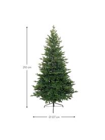 Albero di Natale artificiale Allison, Verde, Ø 127 x Alt. 210 cm