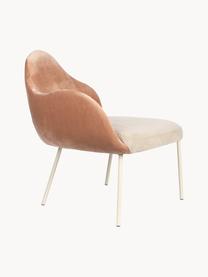Fluwelen stoel Friuli, Bekleding: fluweel (100% polyester) , Poten: gecoat staal, Fluweel rozetinten, crèmewit, B 83 x D 73 cm