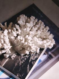 Dizajnová dekorácia Coral, Biela, Š 18 x V 13 cm