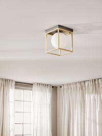 Malá stropná lampa zo skla Juliet, Odtiene zlatej, čierna, Š 19 x V 20 cm