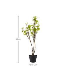 Plante artificielle en pot Fleur de cerisier, Plastique, Vert, blanc, brun, haut. 89 cm