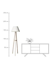 Lámpara de pie Cono, Pantalla: algodón, Blanco, Beige, Ø 50 x Al 175 cm