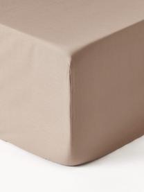 Boxspring-Spannbettlaken Premium, Baumwollsatin, Webart: Satin Fadendichte 400 TC,, Beige, B 90 x L 200 cm, H 35 cm