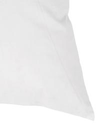 Garnissage de coussin duvet/plumes Premium, 60 x 60, Blanc