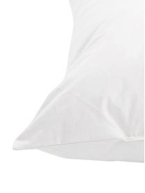 Garnissage de coussin duvet/plumes Premium, 60 x 60, Blanc