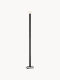 Grosse Dimmbare LED-Stehlampe Bellhop, Lampenschirm: Glas, Schwarz, H 178 cm