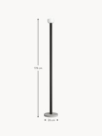 Große dimmbare LED-Stehlampe Bellhop, Lampenschirm: Glas, Lampenfuß: Beton, Schwarz, H 178 cm