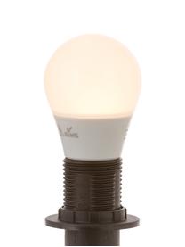 Lampadina a LED E14, 4W, bianco caldo, 1 pz, Paralume: vetro opale, Base lampadina: alluminio, Bianco, Ø 5 x Alt. 9 cm