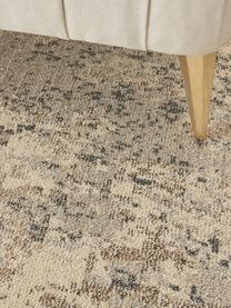 Designteppich Celestial in Beige, Flor: 100% Polypropylen, Beigetöne, B 275 x L 370 cm (Größe XL)