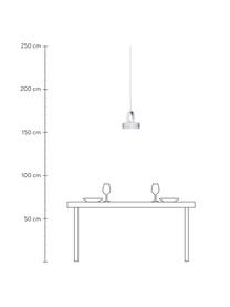 Kleine dimbare LED hanglamp Stage, Lamp: gecoat metaal, Lichtgrijs, B 22 x H 27 cm