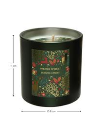 Vela perfumada Winter Forest, Recipiente: vidrio, Verde oscuro, Ø 8 x Al 11 cm