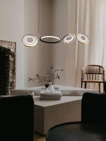 Grande suspension LED Seppia, Doré, noir, larg. 30 x haut. 15 cm