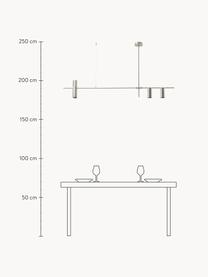 Grote hanglamp Cassandra, Metaal, verguld, Zilverkleurig, B 143 x H 73 cm