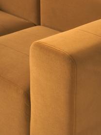 Samt-Modulares Sofa Lena (3-Sitzer), Bezug: Samt (100 % Polyester) De, Gestell: Kiefernholz, Schichtholz,, Samt Ockergelb, B 209 x T 106 cm