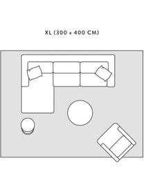 Koberec s vysokým vlasem Mona, Šedá, krémově bílá, Š 300 cm, D 400 cm (velikost XL)