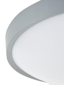 Kleine LED paneel Altus, Diffuser: kunststof, Grijs, Ø 30 x H 9 cm