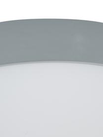 Petit plafonnier LED minimaliste Altus, Gris, Ø 30 x haut. 9 cm