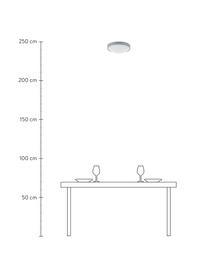 Panel świetlny LED Altus, Szary, Ø 30 x W 9 cm