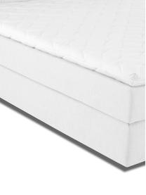 Letto boxspring premium Eliza, Materasso: a molle insacchettate a 7, Piedini: legno di faggio massiccio, Grigio chiaro, 200 x 200