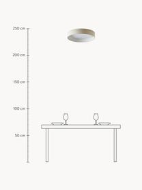 LED-Deckenleuchte Helen, Diffusorscheibe: Kunststoff, Hellbeige, Ø 52 x H 11 cm