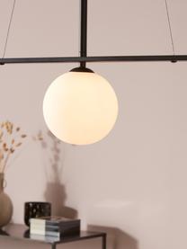 Grote hanglamp Pals met glazen lampenkappen, Baldakijn: gecoat metaal, Zwart, 100 x 20 cm